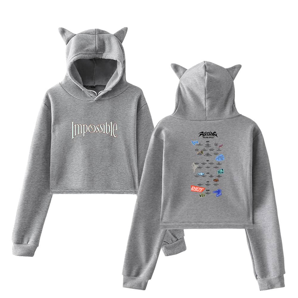 Riize Impossible Cropped Hoodie - Gray